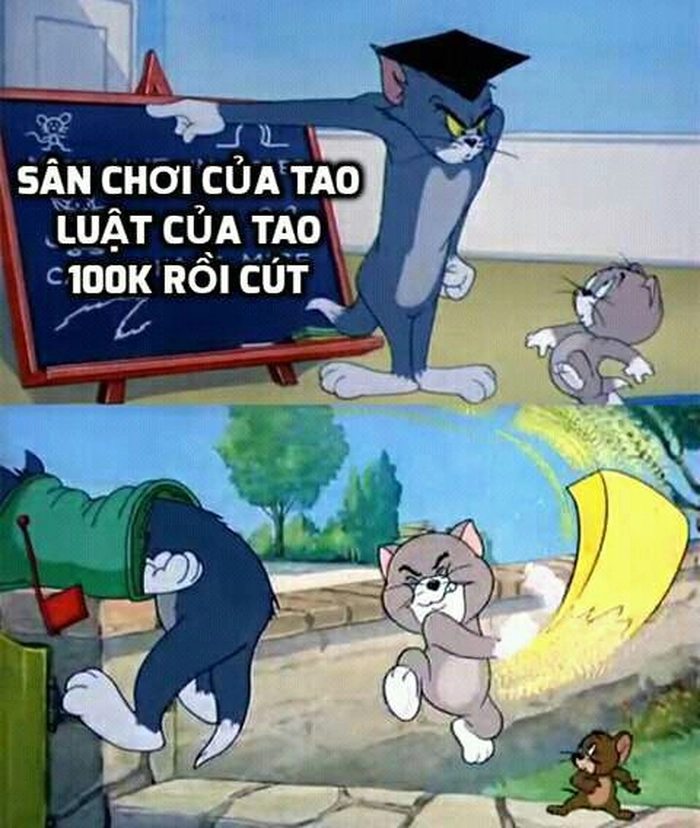 Meme mèo Tom cho mạng xã hội