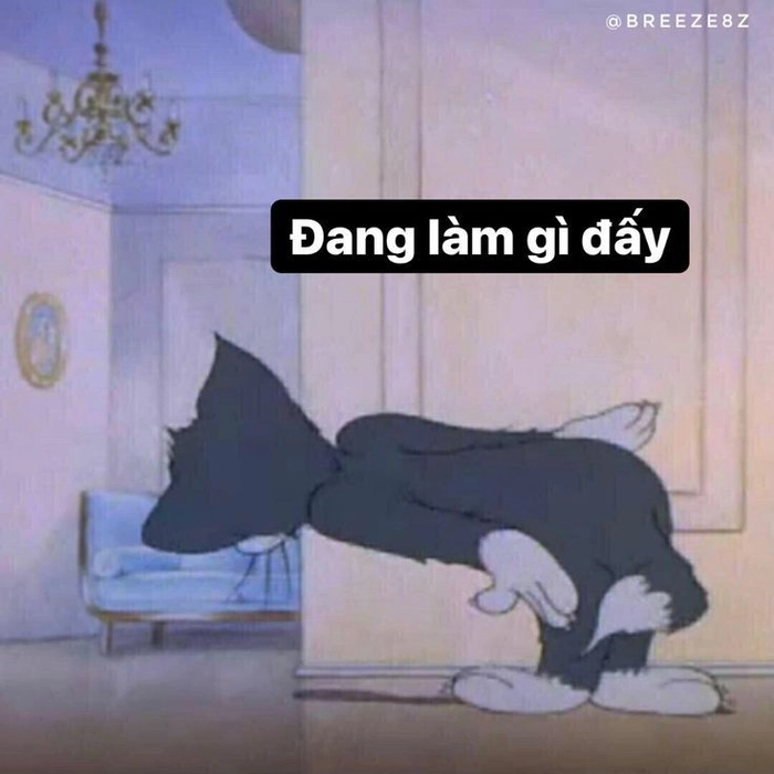 Meme mèo Tom chống mắt chán đời