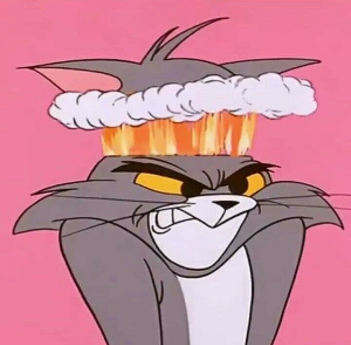 Meme mèo Tom dùng trong mọi tình huống