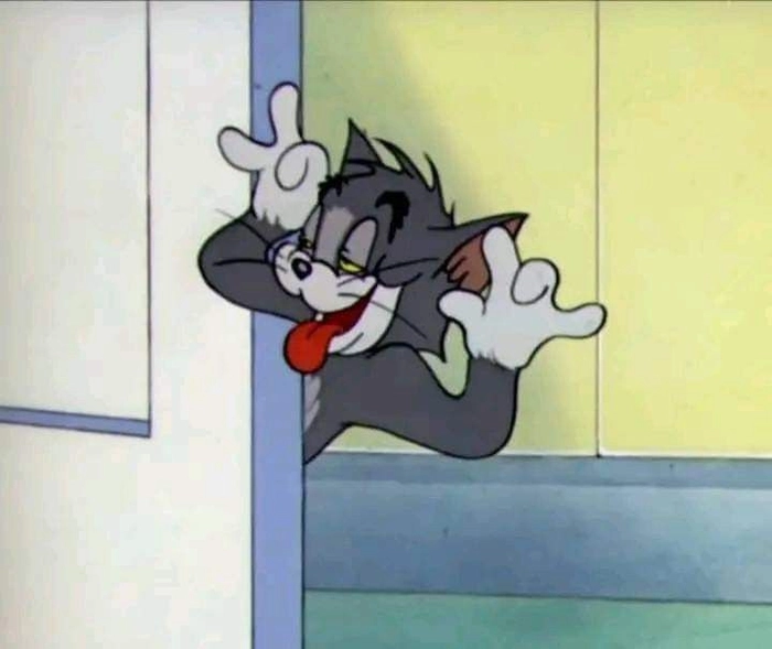 Meme mèo Tom hợp phản ứng nhanh