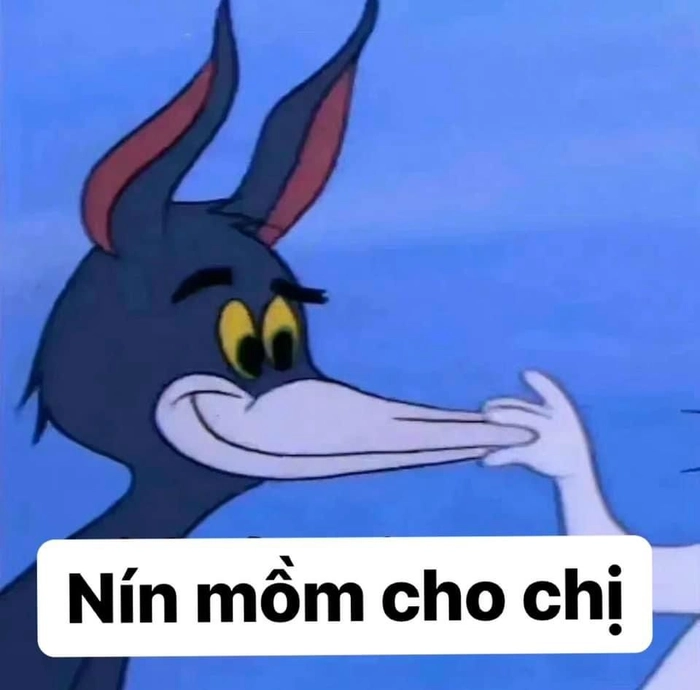 Meme mèo Tom nhìn là muốn lưu