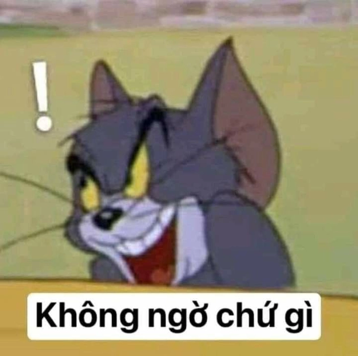 Meme mèo Tom nhìn là thấy quen