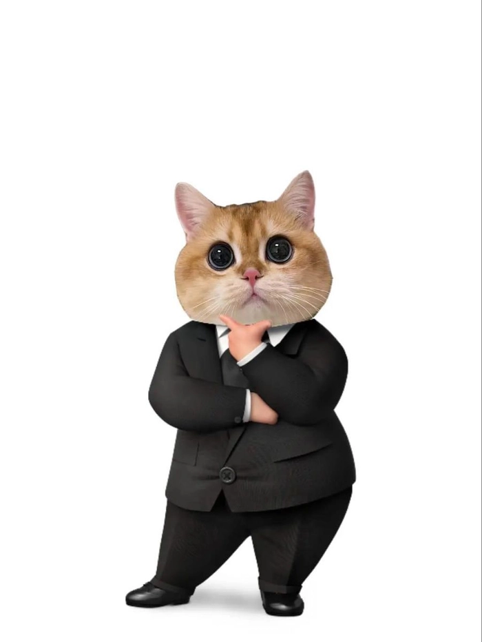 Meme mèo mặc vest chuẩn vibe doanh nhân
