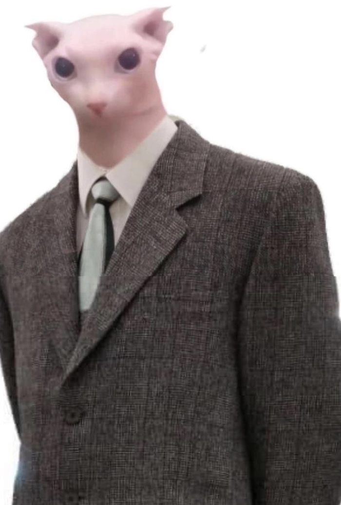 Meme mèo mặc vest dùng đăng story