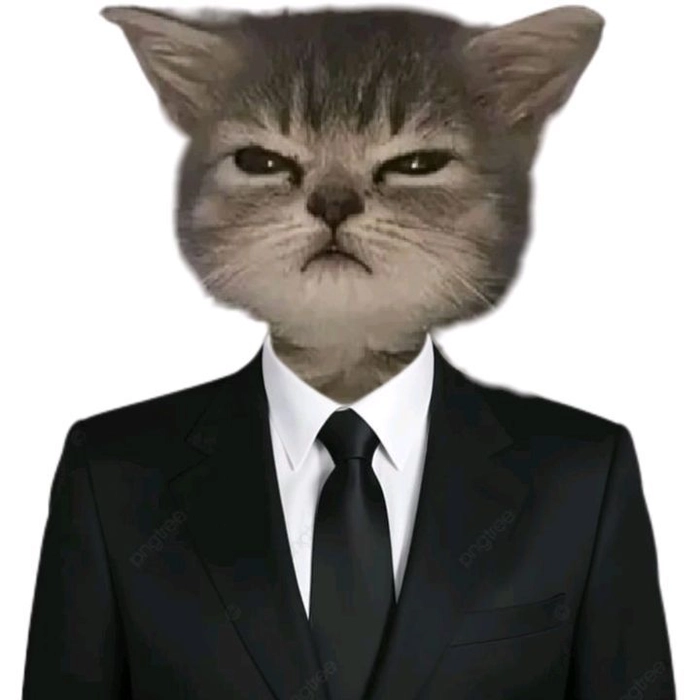 Meme mèo mặc vest dùng làm avatar