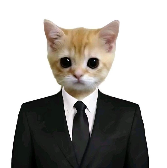 Meme mèo mặc vest hài hước tinh tế