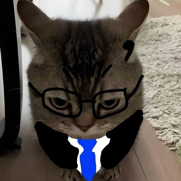 Meme mèo mặc vest nhìn là buồn cười