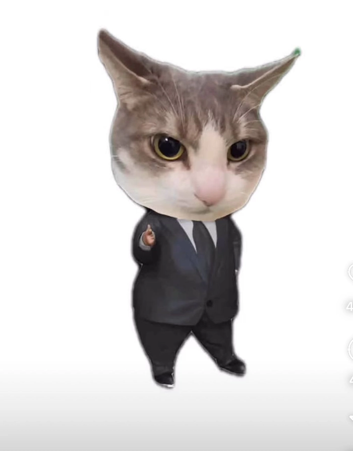 Mèo mặc vest meme biểu cảm khó đỡ