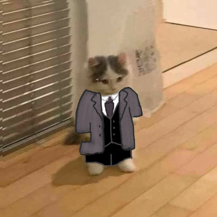 Mèo mặc vest meme cà khịa tinh tế