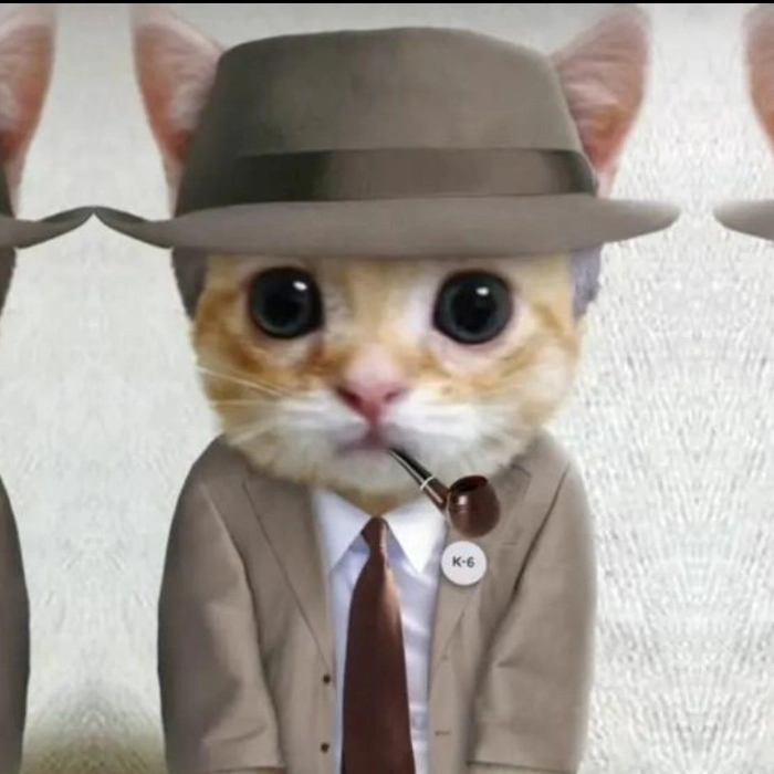 Mèo mặc vest meme cho dân văn phòng