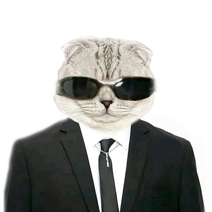 Mèo mặc vest meme đúng gu dân mạng