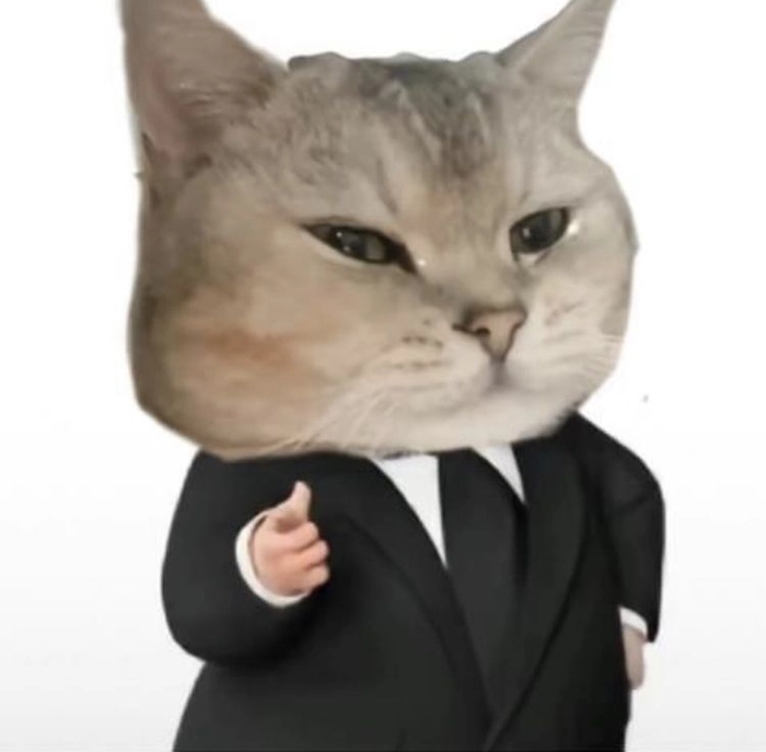 Mèo mặc vest meme vibe sếp lớn