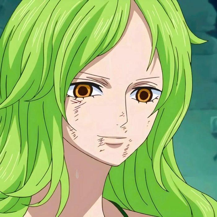 Monet One Piece anime ấn tượng