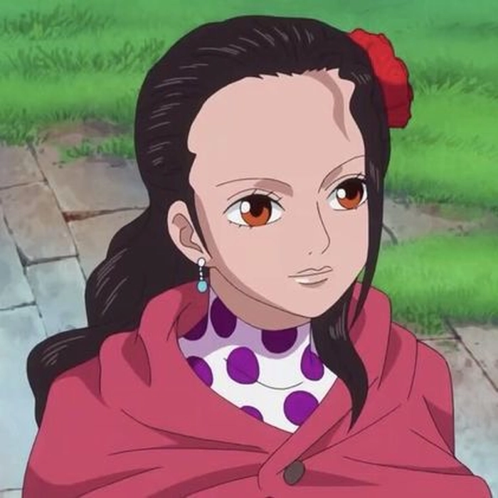 Tuyển tập Viola One Piece anime phong cách