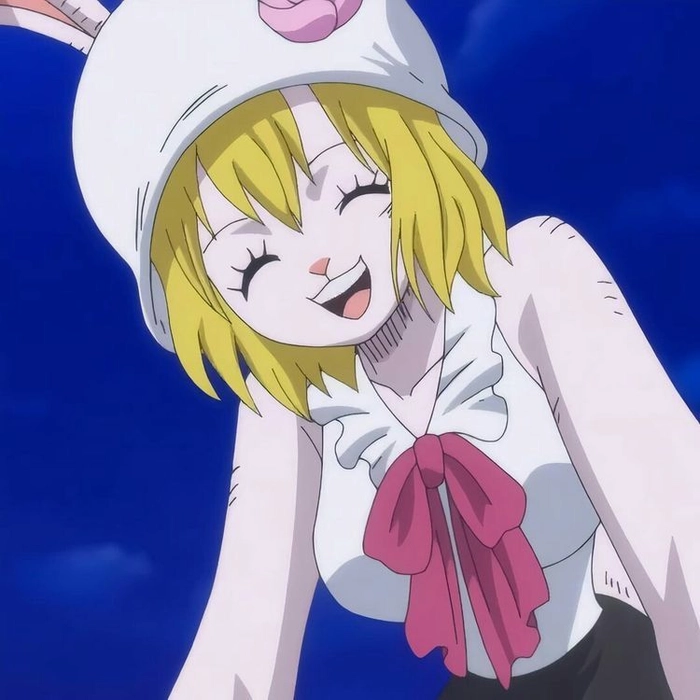 Tuyển tập ảnh Carrot trong One Piece