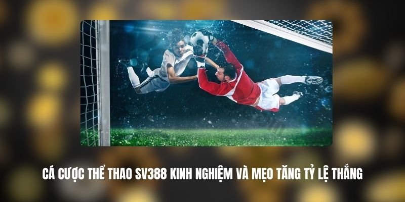 Giao diện thể thao gọn gàng - Dễ nhìn, dễ chọn và dễ theo dõi