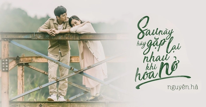 lời bài hát sau này, hãy gặp lại nhau khi hoa nở