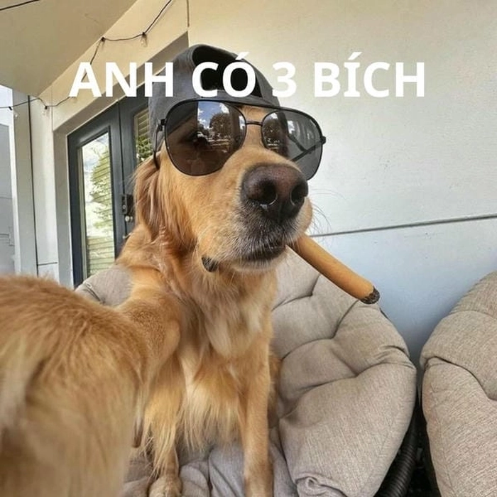 3 bích đi trước meme được dùng nhiều trong bình luận