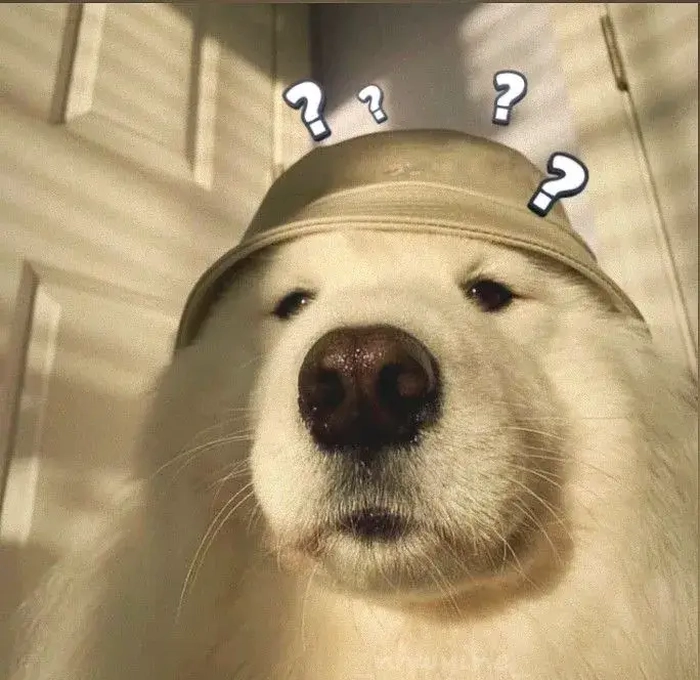 Ảnh chó meme vô tri dùng khi muốn im lặng