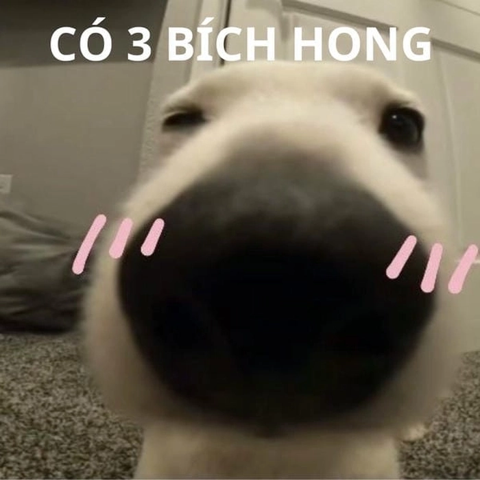 Ảnh meme 3 bích thể hiện quyền đánh trước