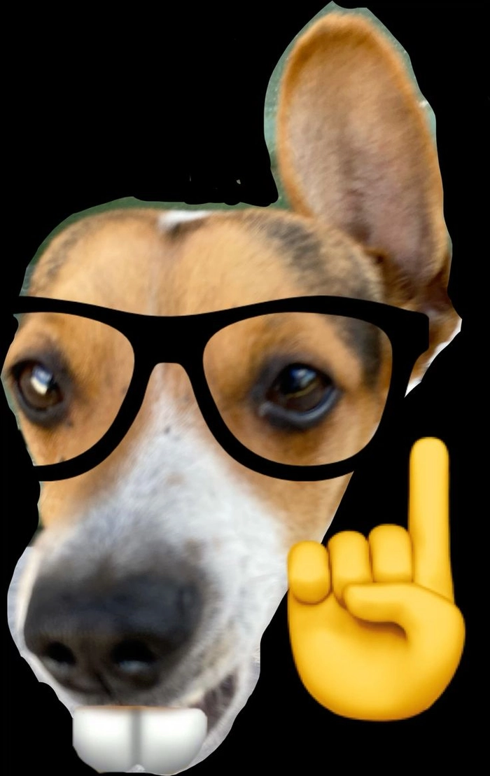 Ảnh meme chó đeo kính mang vibe uy tín giả
