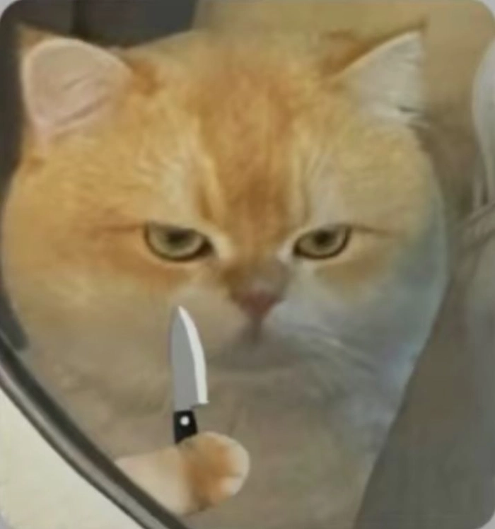 Ảnh meme con mèo cầm dao pha nét đáng yêu