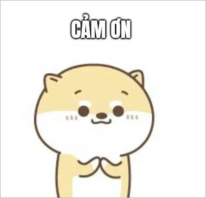 Ảnh meme đa tạ dùng để cảm ơn