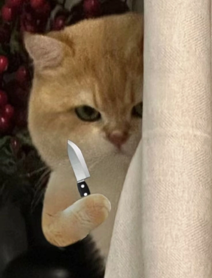 Ảnh meme mèo cầm dao dùng để cà khịa vui