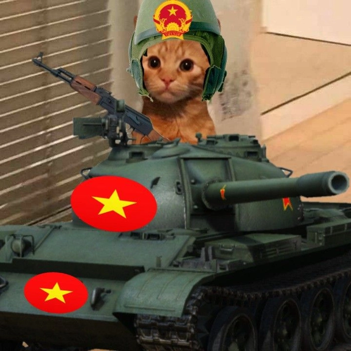 Ảnh meme mèo cầm súng cho story lạnh