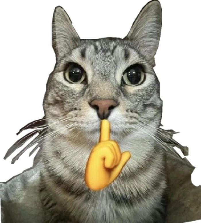 Ảnh meme suỵt dùng trong nhiều ngữ cảnh