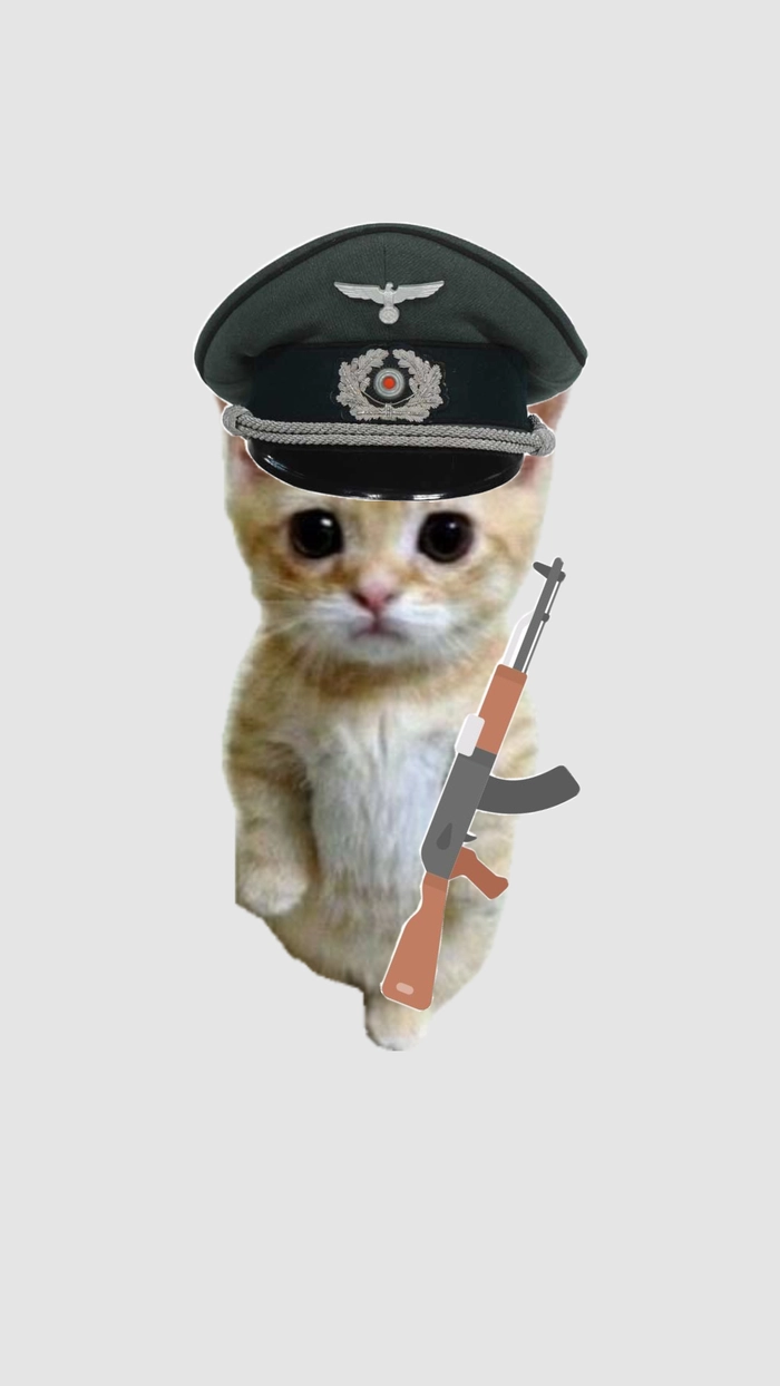 Ảnh mèo meme bựa cầm súng đúng kiểu troll