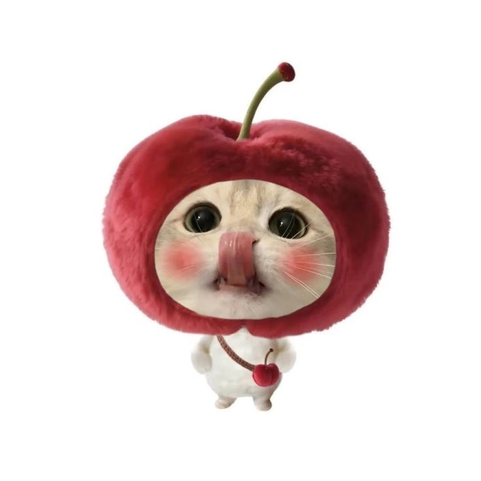 Ảnh mèo meme cute tạo cảm giác dễ chịu