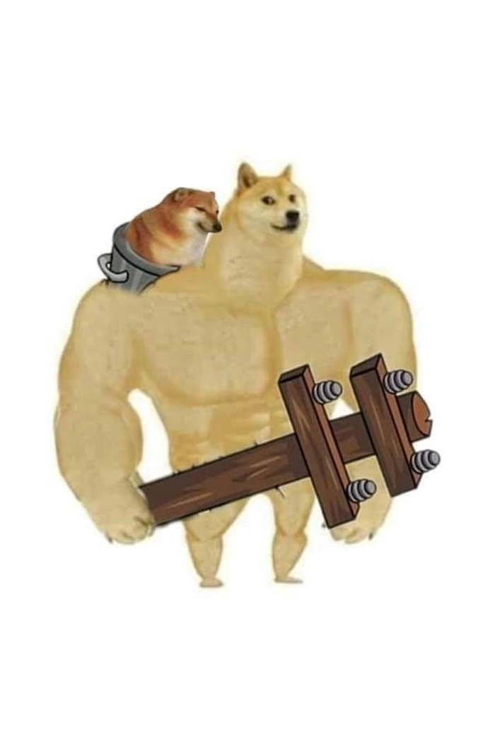 Chó cầm gậy meme mang vibe nửa đùa nửa thật