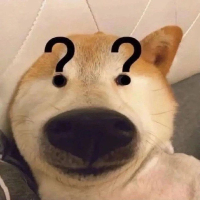 Chó meme vô tri thể hiện cảm xúc rất thật