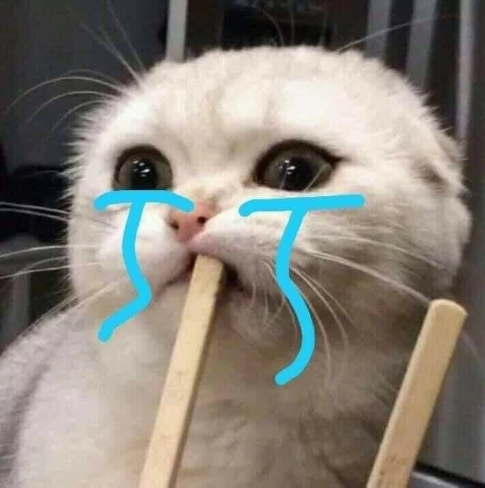 Hình ảnh meme mèo buồn mang nét trầm nhẹ