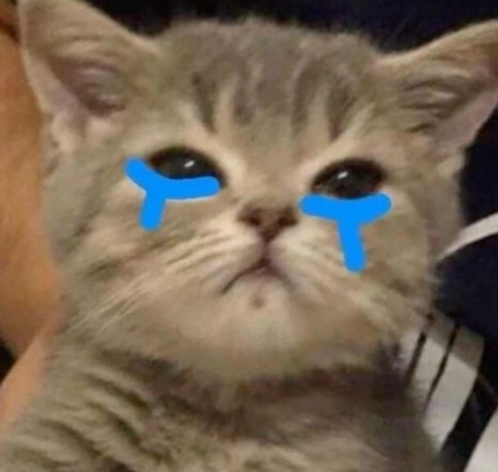 Hình ảnh meme mèo buồn nhẹ nhàng và sâu lắng