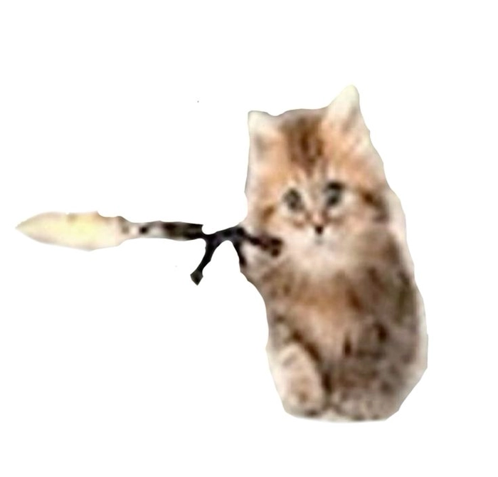 Hình ảnh meme mèo cầm súng nhìn rất căng