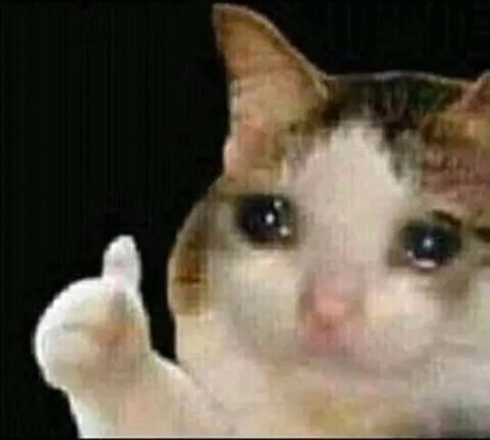 Hình meme mèo buồn cho những lúc chùng lòng