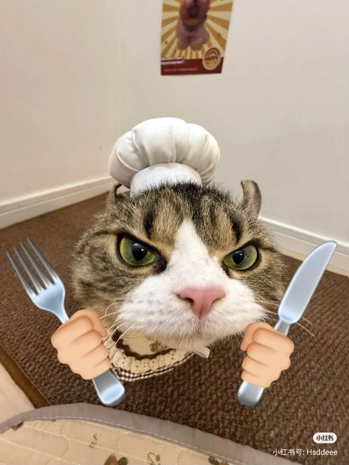 Hình meme mèo cầm dao tạo điểm nhấn trò chuyện