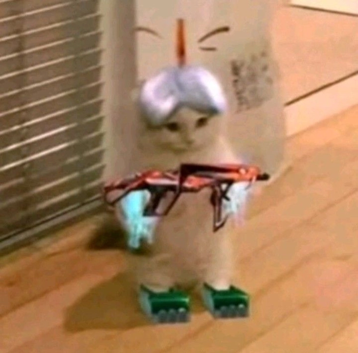 Hình meme mèo cầm súng nhưng vẫn hài