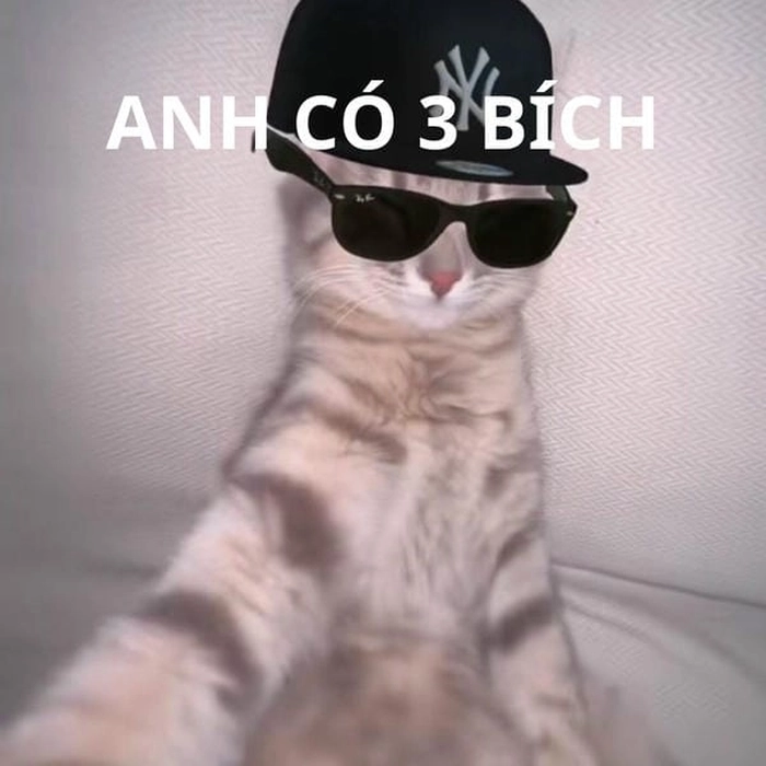 Meme ba bích dùng để xin ưu tiên