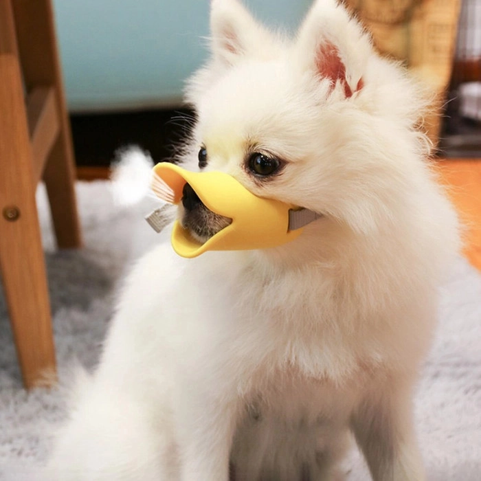 Meme bịt miệng chó mang nét hài nhẹ nhàng