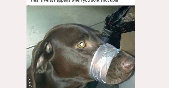 Meme bịt miệng chó thể hiện thông điệp rõ ràng