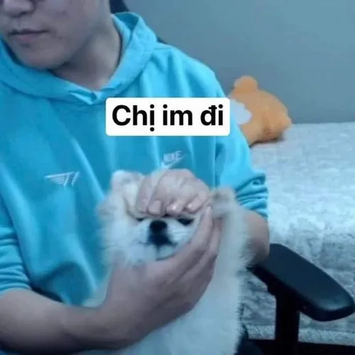 Meme bịt mõm chó tạo không khí vui vẻ