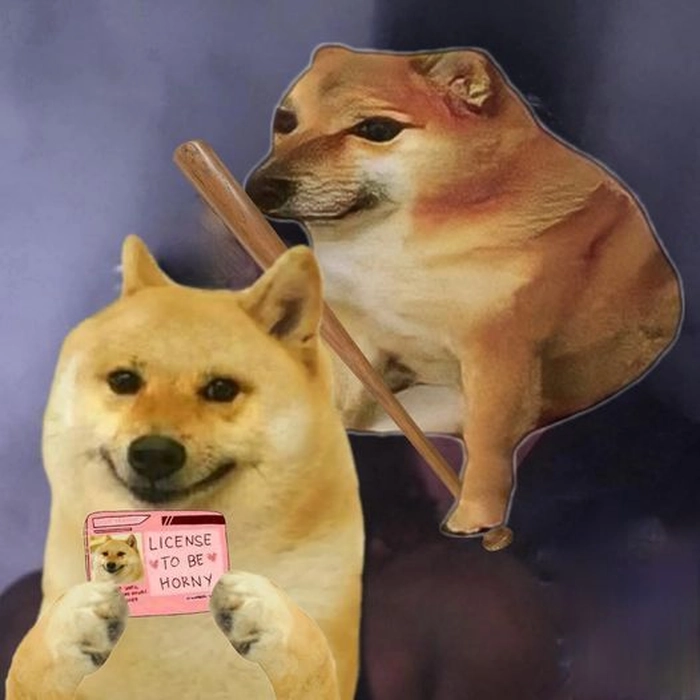 Meme chó cầm gậy nhìn vui nhưng đừng coi thường