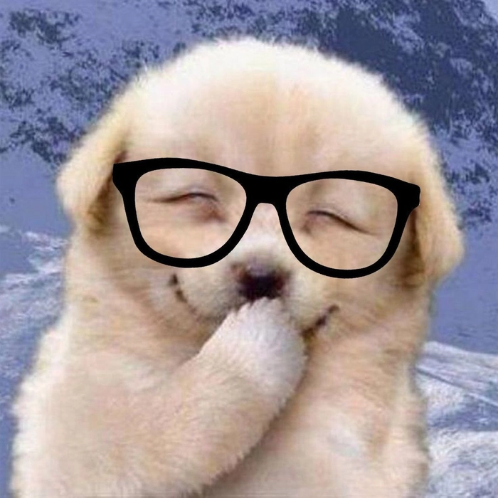 Meme chó đeo kính cho khoảnh khắc cần chốt hạ