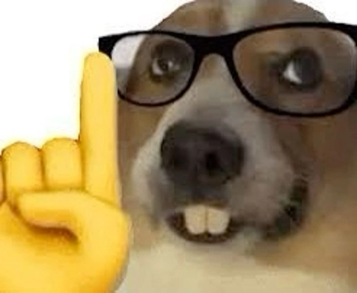 Meme chó đeo kính nhìn là thấy có lý