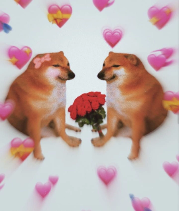 Meme chó tặng hoa khi không biết mở lời