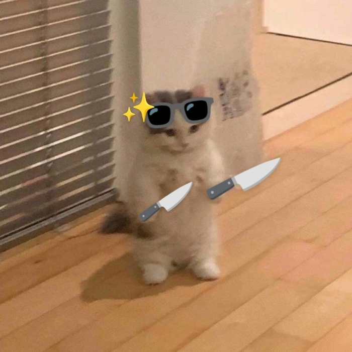 Meme con mèo cầm dao dành cho lúc muốn gắt