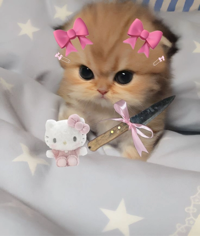 Meme con mèo cầm dao thể hiện sự bực bội